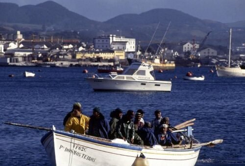 Governo dos Açores lança apoio financeiro para pescadores
