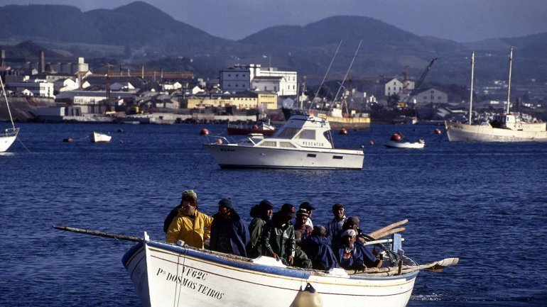 Governo dos Açores lança apoio financeiro para pescadores