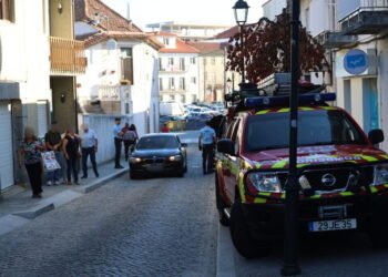 Bombeiros resgatam gato prese no motor de carro em Fafe