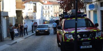 Bombeiros resgatam gato prese no motor de carro em Fafe