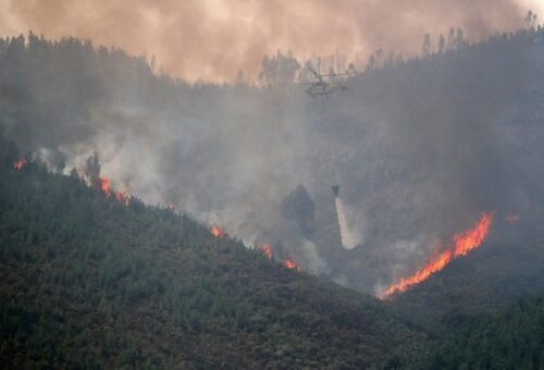 Incêndio em Castro Daire sob controle após rápida ação dos bombeiros