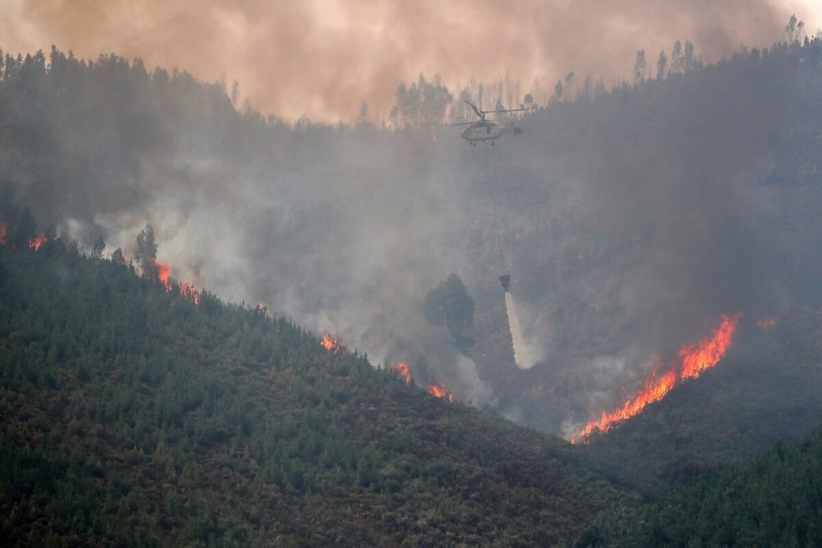 Incêndio em Castro Daire sob controle após rápida ação dos bombeiros