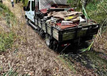 Voluntários recolhem uma tonelada de lixo na Mata de Folhosas em Esposende