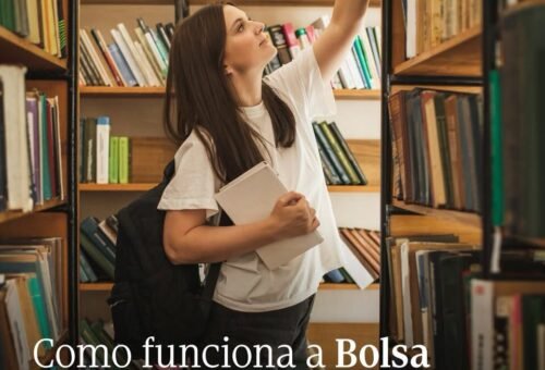 Bolsa de estudo: Como solicitar o apoio da DGES para o Ensino Superior