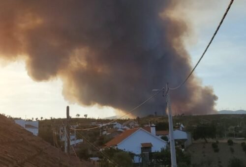 Incêndio em Proença-a-Nova mobiliza 402 operacionais e 123 viaturas
