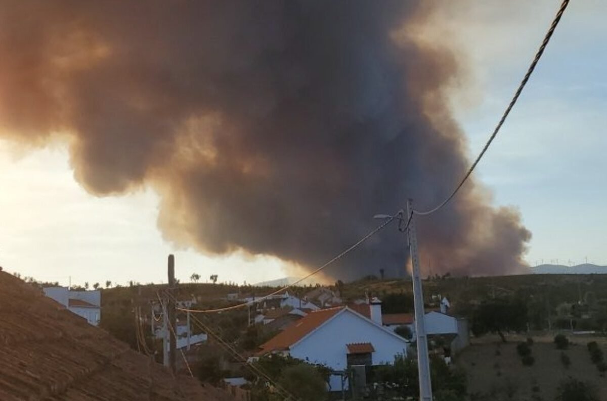 Incêndio em Proença-a-Nova mobiliza 402 operacionais e 123 viaturas