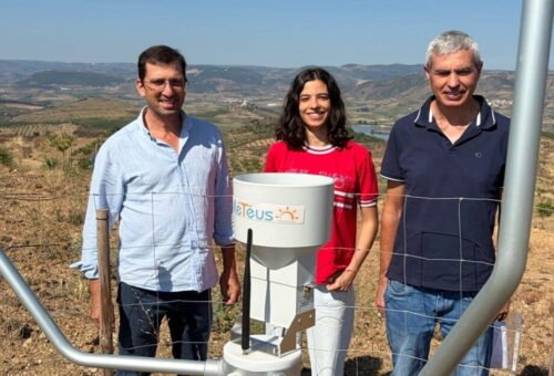 Universidade do Minho desenvolve sistema de IA para irrigação de olivais