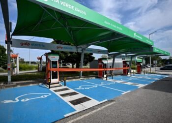 Portugal está entre os países mais avançados nos elétricos: estudo coloca mercado nacional no 7.º lugar