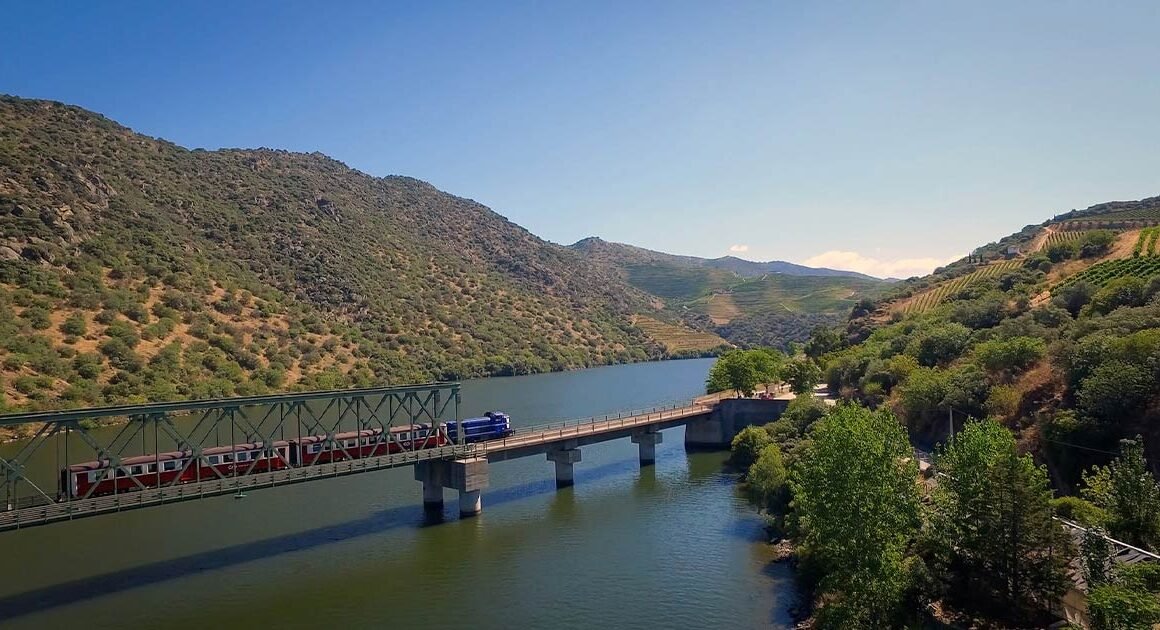 Comboio especial para as vindimas do Douro com gastronomia e música