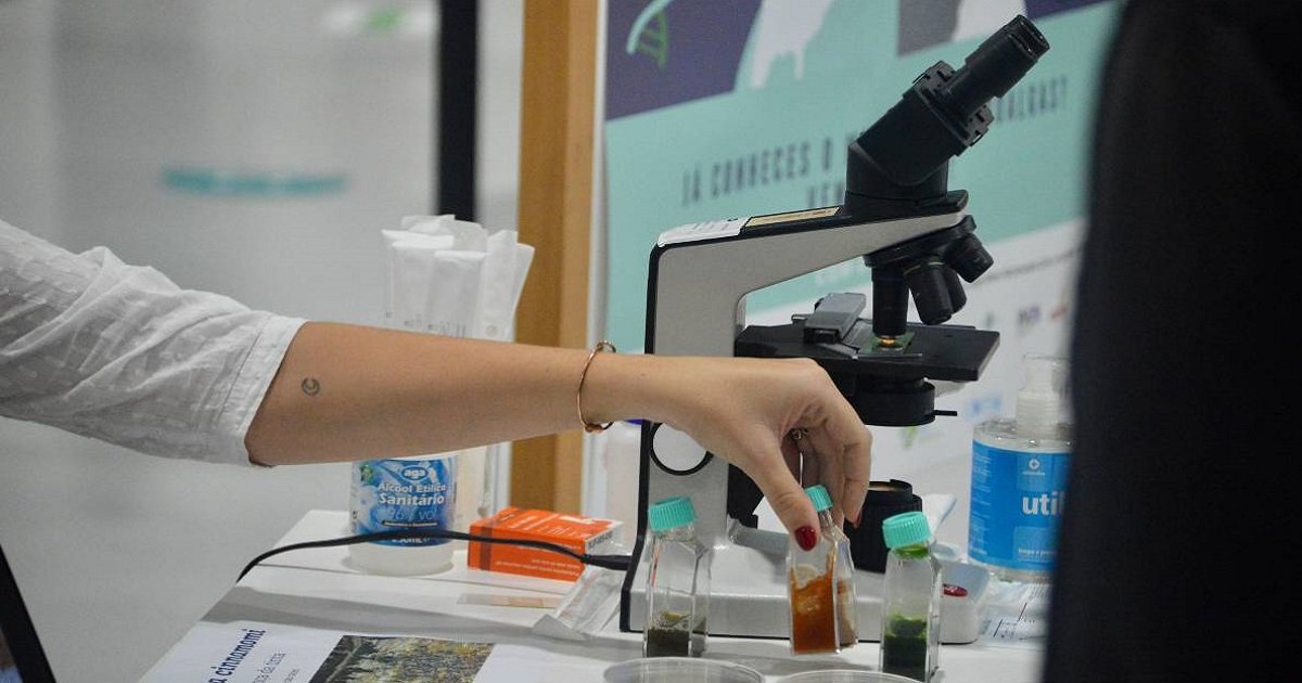 Noite europeia dos investigadores regressa a arcos de valdevez