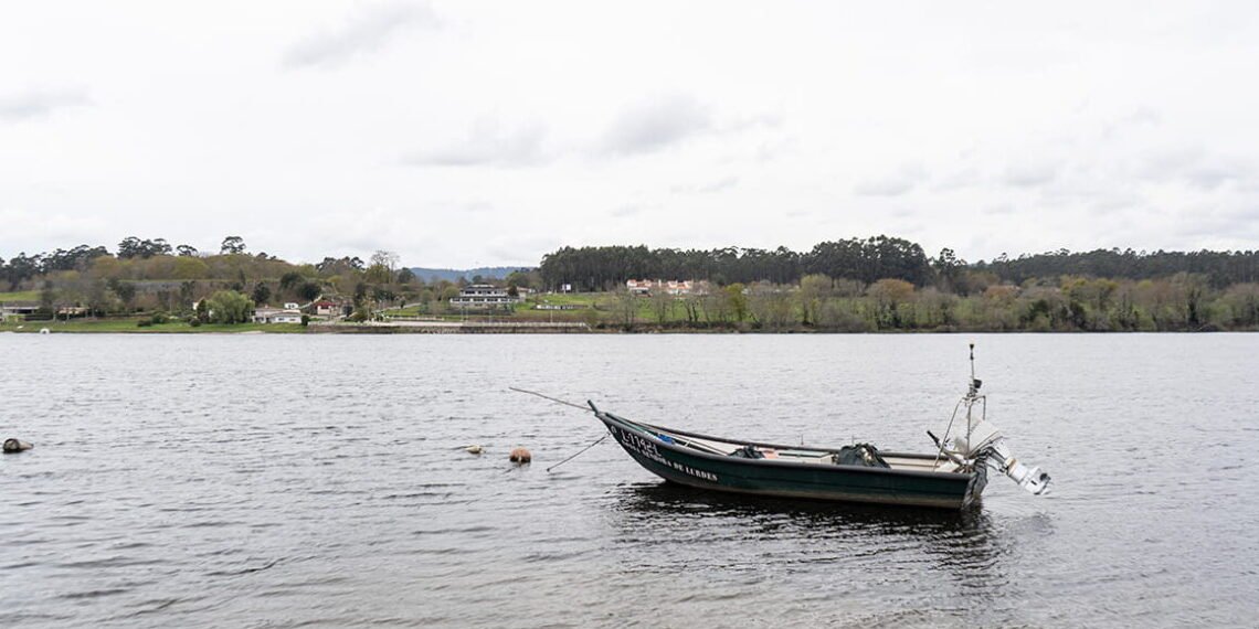Pesca de bivalves proibida no rio minho