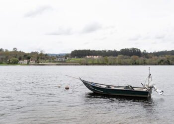 Pesca de bivalves proibida no rio minho