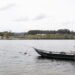 Pesca de bivalves proibida no rio minho