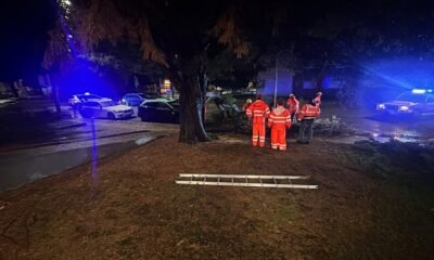 Galho de grandes dimensões cai na rua em braga