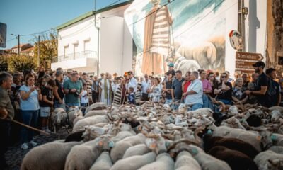 Foto: sapo.pt