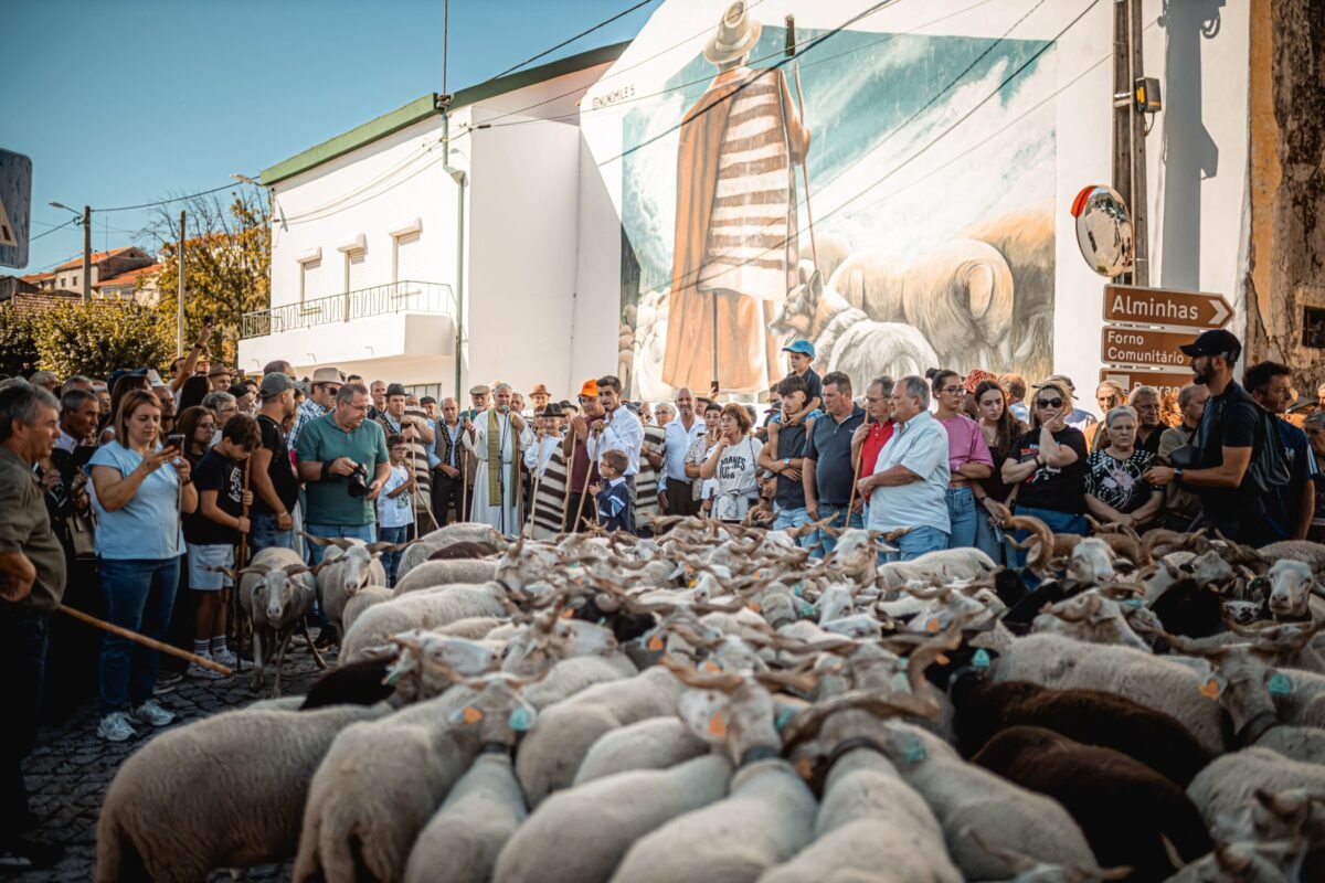 Foto: sapo.pt