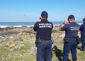 Veleiro atacado por orcas na póvoa de varzim