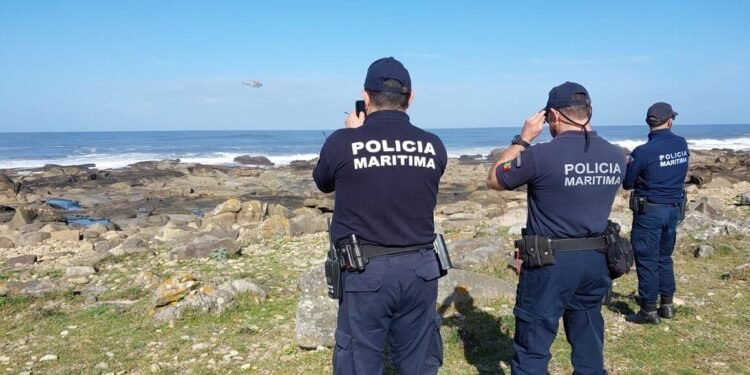 Veleiro atacado por orcas na póvoa de varzim