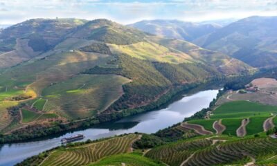 Governo disponibiliza 12 milhões para viticultores do Douro: candidaturas abrem hoje e há 15 dias para pedir apoio