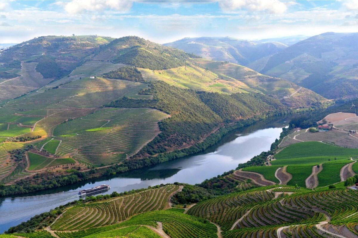 Governo disponibiliza 12 milhões para viticultores do Douro: candidaturas abrem hoje e há 15 dias para pedir apoio