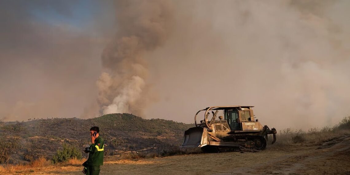 Maioria das pessoas que provoca incêndios não é pirómana nem tem outra doença psiquiátricaCréditos:Pedro Sarmento Costa-Lusa