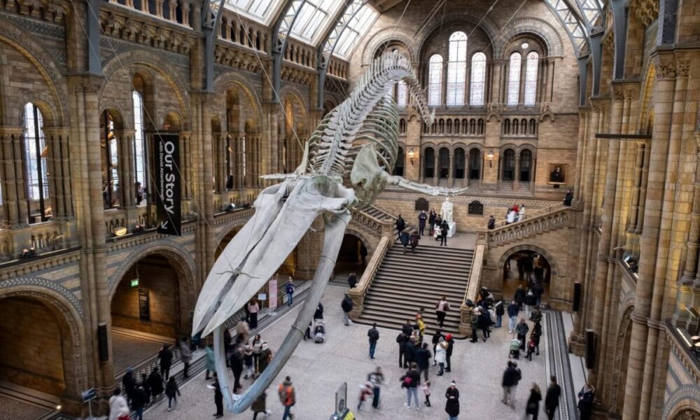 Inglaterra mantém museus gratuitos para turistasCréditos:In Pictures via Getty Images