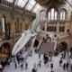Inglaterra mantém museus gratuitos para turistasCréditos:In Pictures via Getty Images