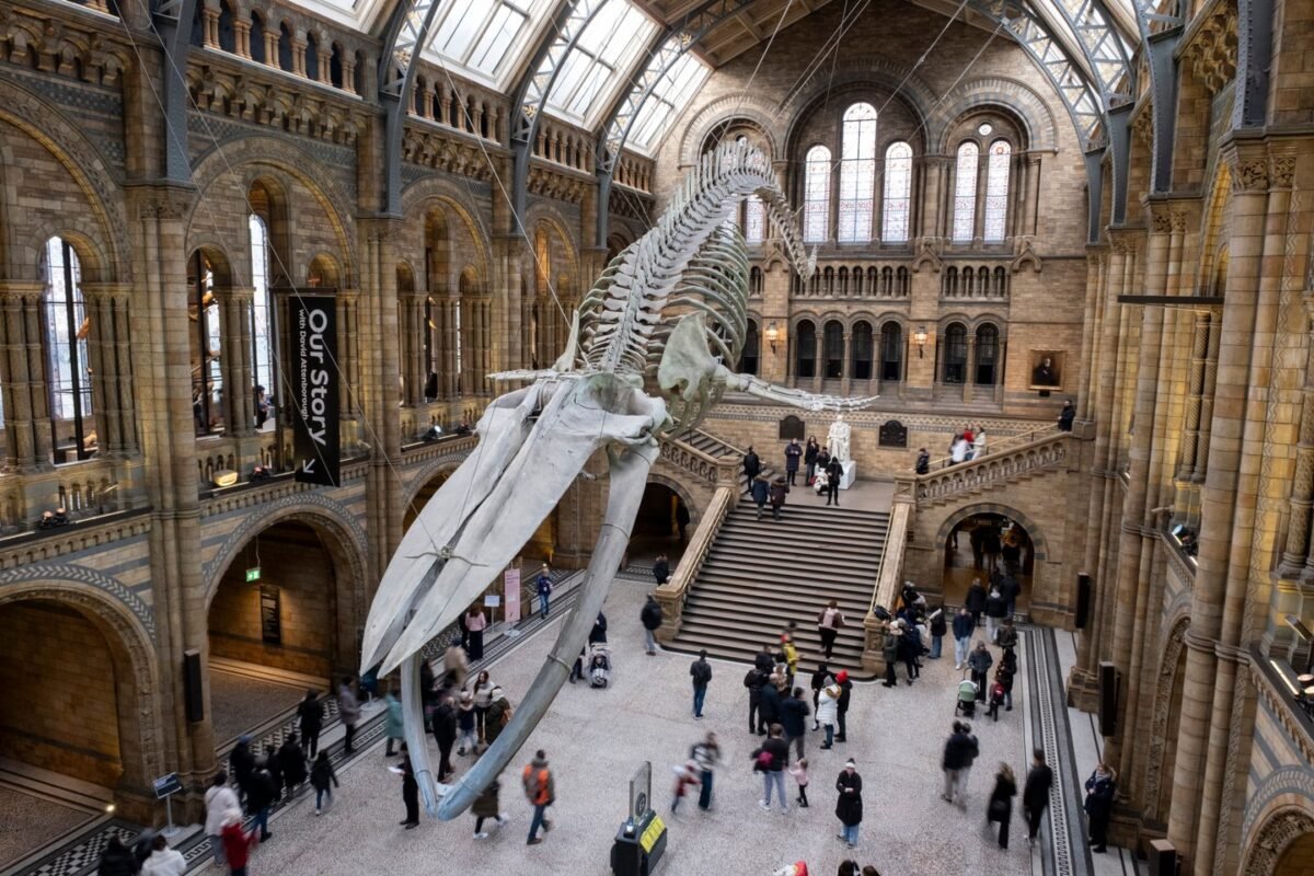Inglaterra mantém museus gratuitos para turistasCréditos:In Pictures via Getty Images