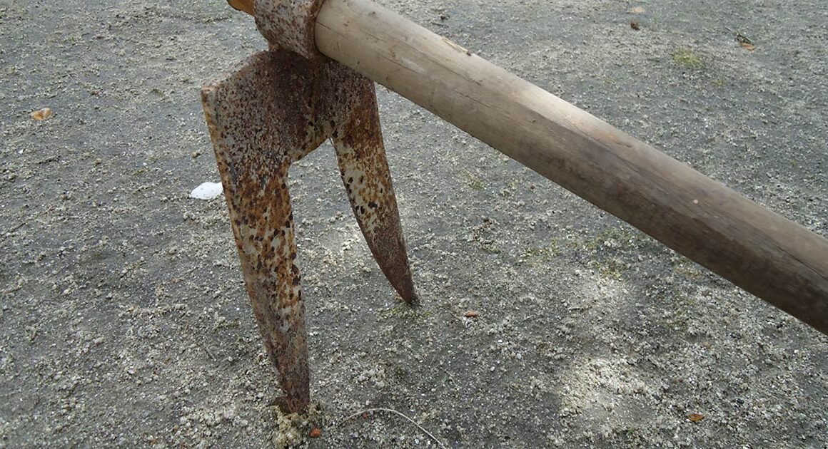 Mulher de trás-os-montes acusada de tentar matar irmão espetando-lhe uma guincha na cabeça