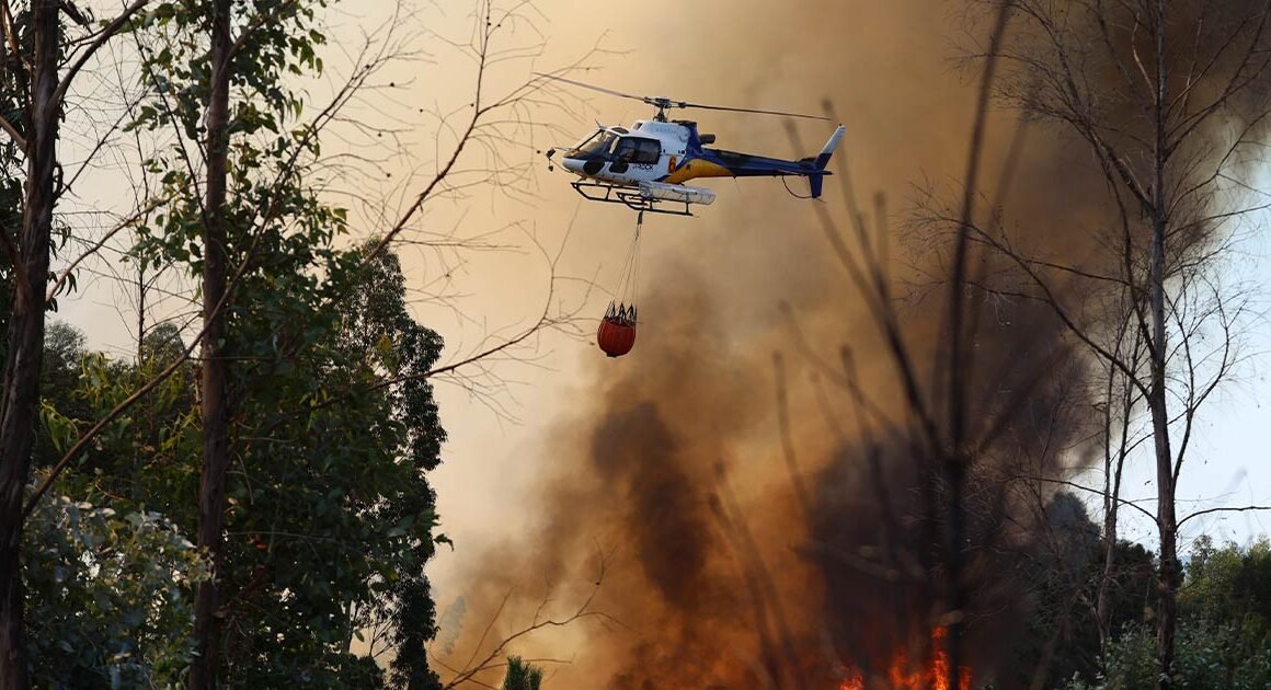 Incêndio leva à evacuação de escola na Trofa como medida de precaução