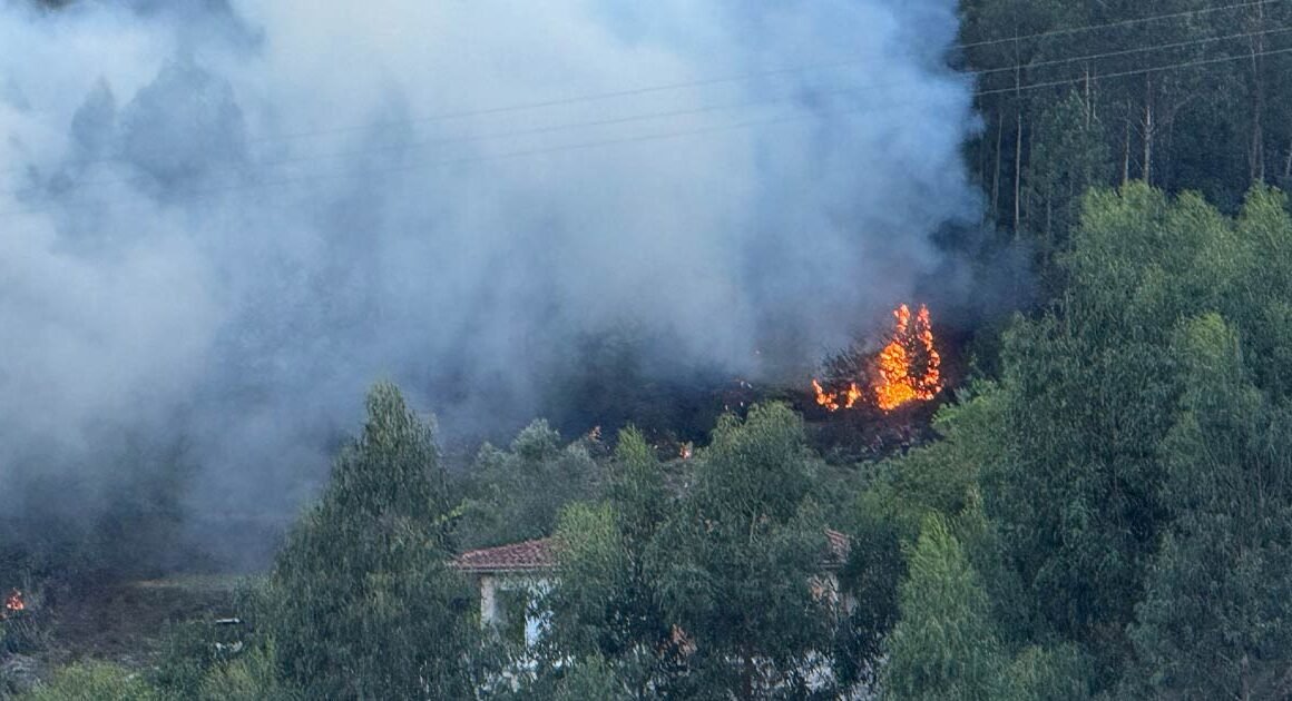 Incêndio deflagra no ermal em vieira do minho