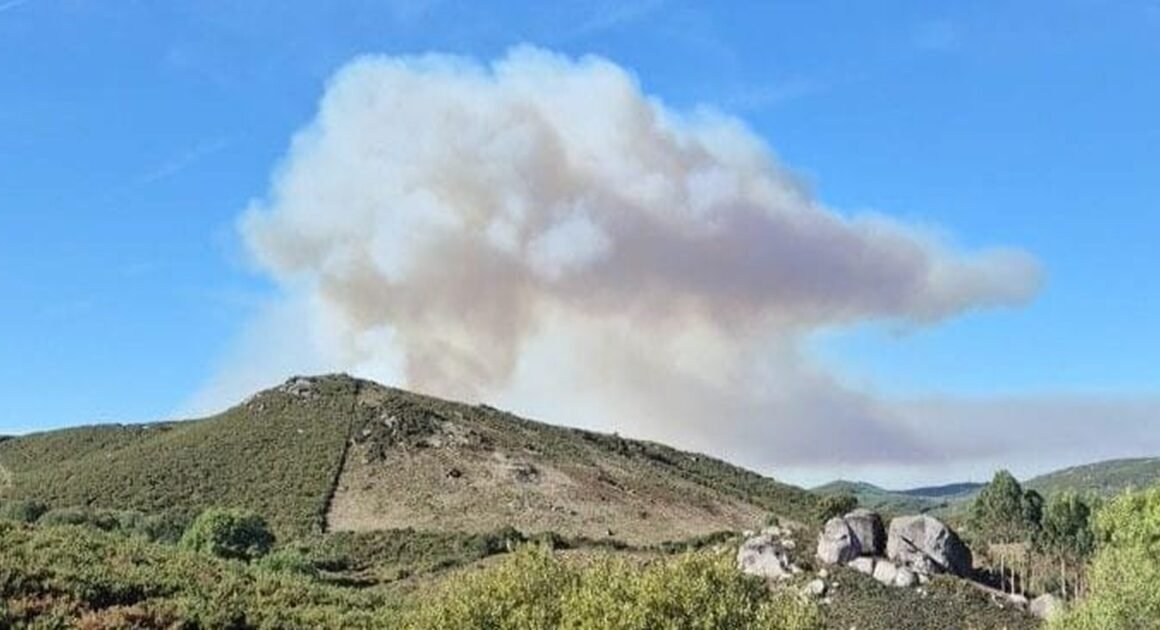 Mais de 60 municípios em risco máximo de incêndio em Portugal