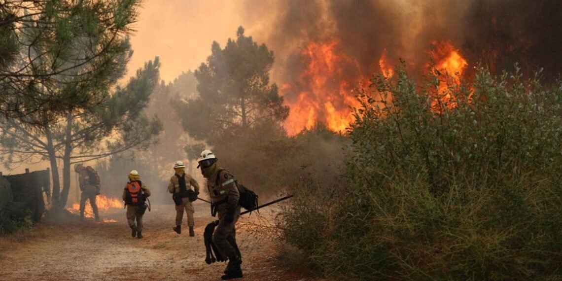 Governo declara utilidade pública urgente para gestão de fogos no alto minho