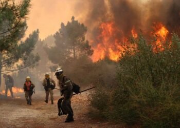 Governo declara utilidade pública urgente para gestão de fogos no alto minho