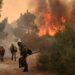 Governo declara utilidade pública urgente para gestão de fogos no alto minho
