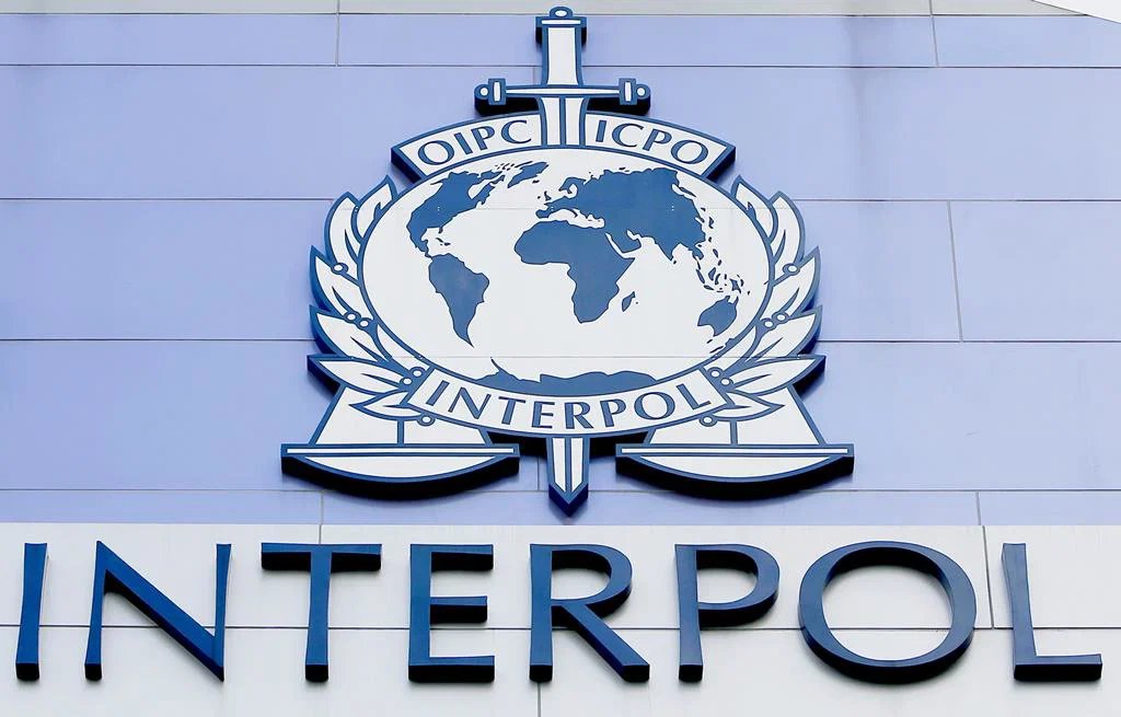 Interpol elabora estratégia de IA para combater terrorismo transnacional