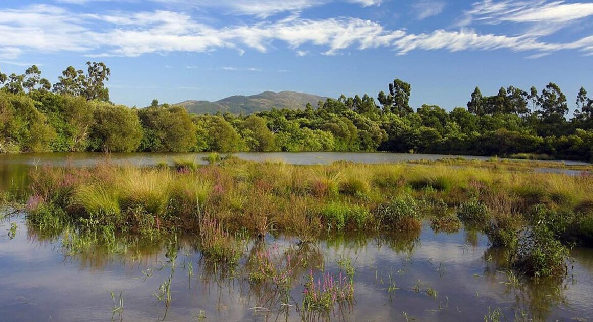 Câmara de ponte de lima compra 12 hectares de terrenos em área protegida por 181 mil euros