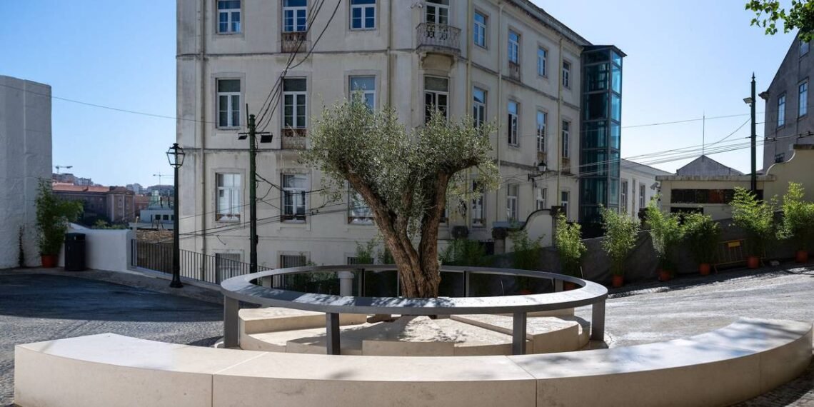Lisboa inaugura memorial em homenagem às vítimas do acidente do Ascensor da GlóriaCréditos:Tiago Figueiras | CML
