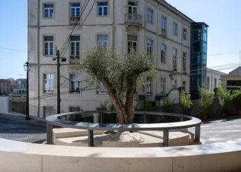 Lisboa inaugura memorial em homenagem às vítimas do acidente do Ascensor da GlóriaCréditos:Tiago Figueiras | CML