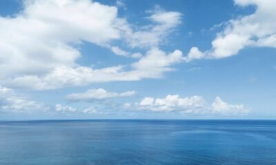 Oceanos têm aquecido a um "ritmo alarmante"Créditos:Nico De Pasquale Photography