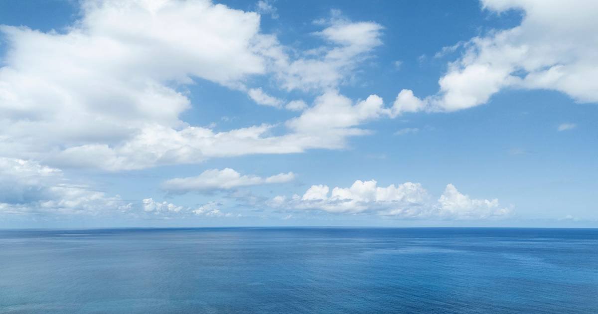 Oceanos têm aquecido a um "ritmo alarmante"Créditos:Nico De Pasquale Photography