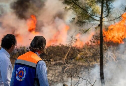 Proteção Civil adverte sobre risco de incêndios em trabalhos agrícolas