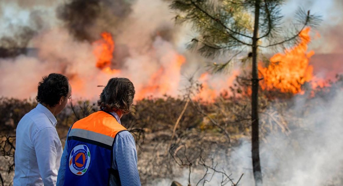 Proteção Civil adverte sobre risco de incêndios em trabalhos agrícolas