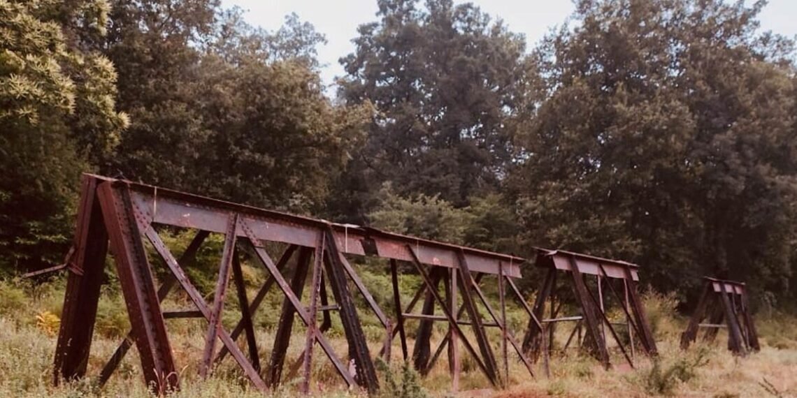 Ponte eiffel do rio âncora - caminha (1878-2026): um caso de estudo