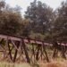 Ponte eiffel do rio âncora - caminha (1878-2026): um caso de estudo