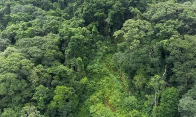 sustentabilidade