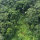 sustentabilidade