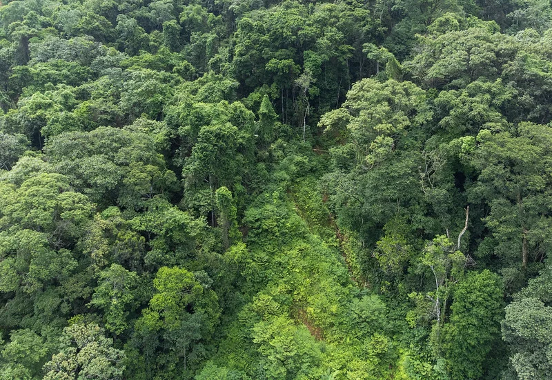 sustentabilidade
