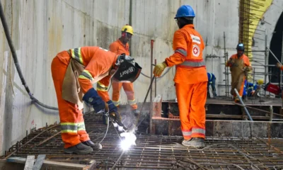 SP registra quase 25 milhões de ocupados em 2025; setor de Serviços e estabelecimentos com menos funcionários lideram contratações
