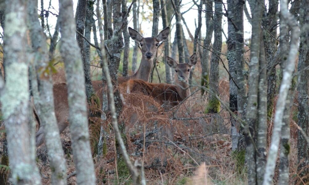Foto: 24noticias.sapo.pt